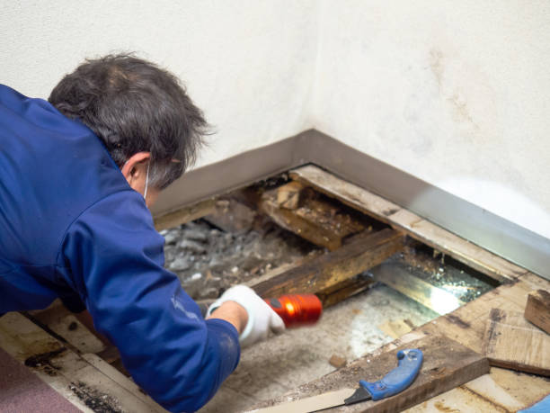 Best Mold Testing  in Myerstown, PA
