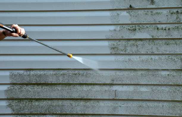 Best Attic Mold Removal  in Myerstown, PA