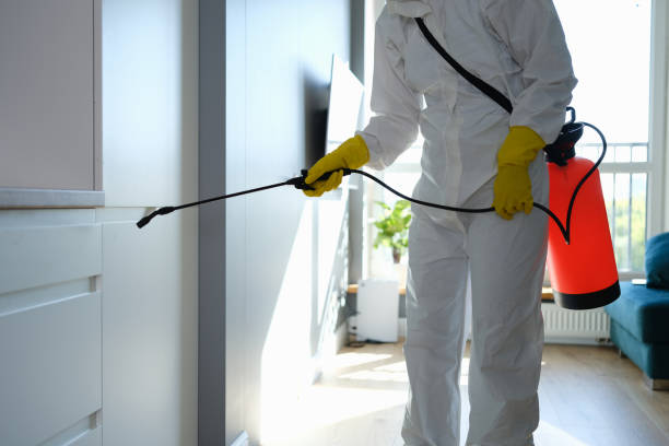 Best Mold Cleaning Services  in Myerstown, PA