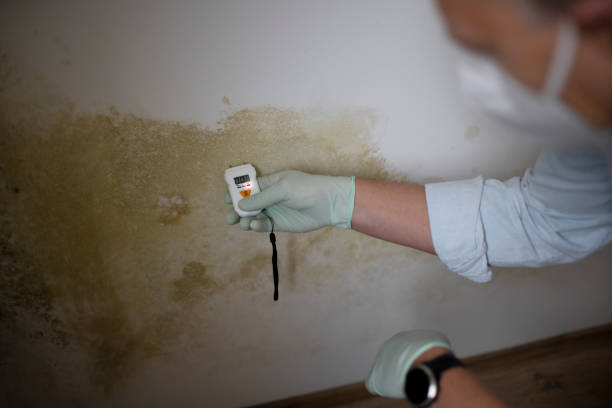 Mold Testing and Removal in Myerstown, PA