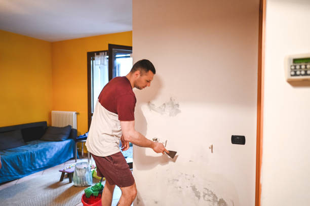 Mold Removal and Inspection in Myerstown, PA